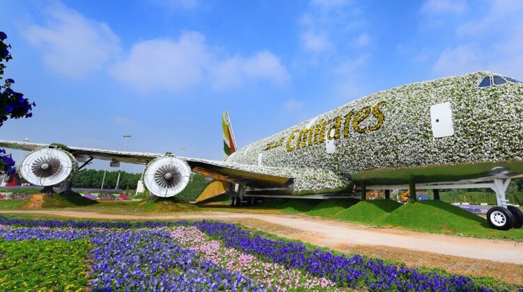 Morze kwiatów na środku pustyni? Miracle Garden w Dubaju środowisko naturalne, ekologia, kultura, sztuka, rozrywka - 