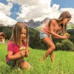 Jak wyszukać idealne gospodarstwo na wymarzone wakacje w Południowym Tyrolu?